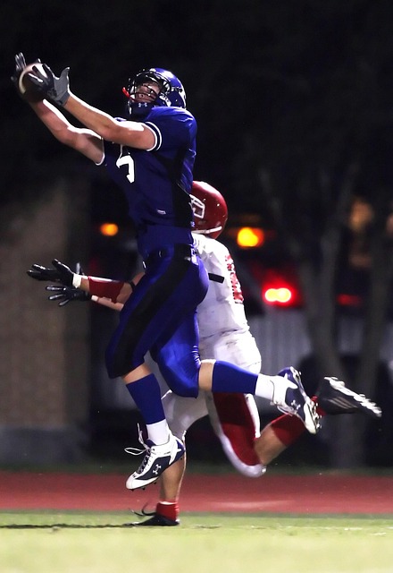 向我们展现 向我们展现