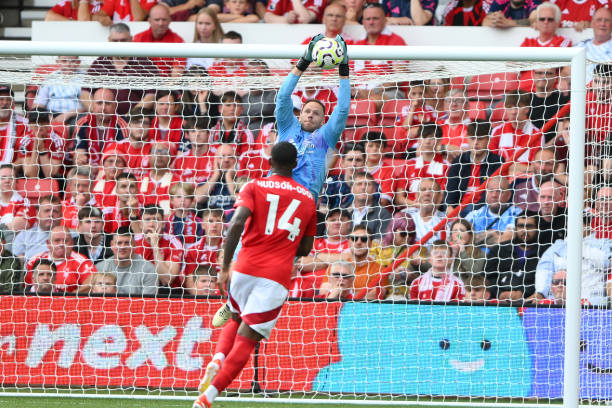 近年来在国 近年来在国